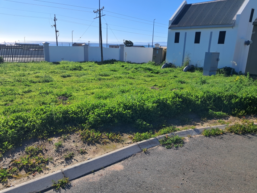 0 Bedroom Property for Sale in Steenbergs Cove Western Cape
